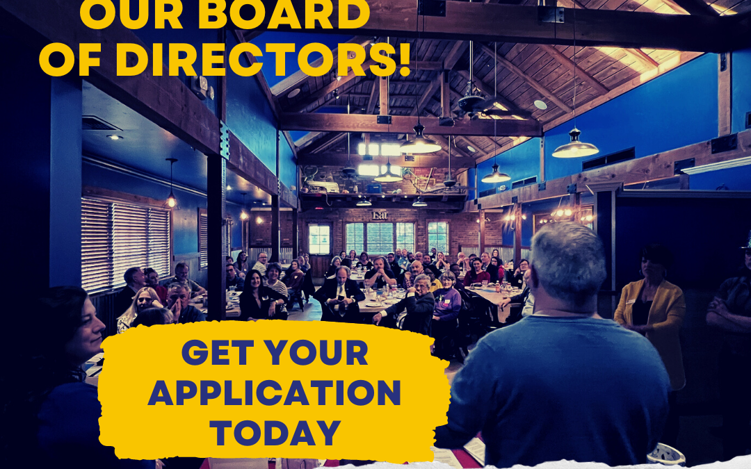 CALL TO ACTION! Join the HGBA Board of Directors!